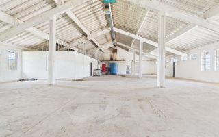 Hale 1800 mp fiecare – acces autostradă, Teiu, HD - Poză 3