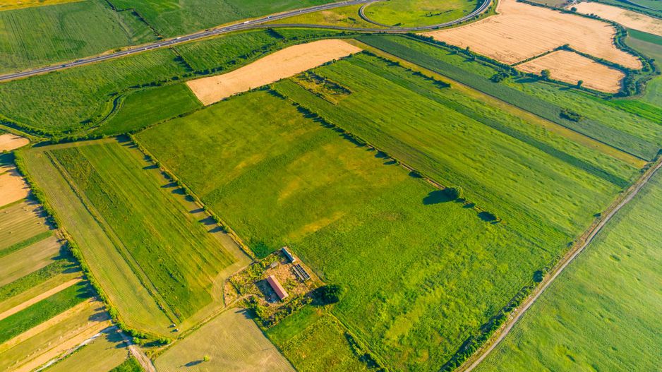 50 ha teren compact în Bujac - Poză 7