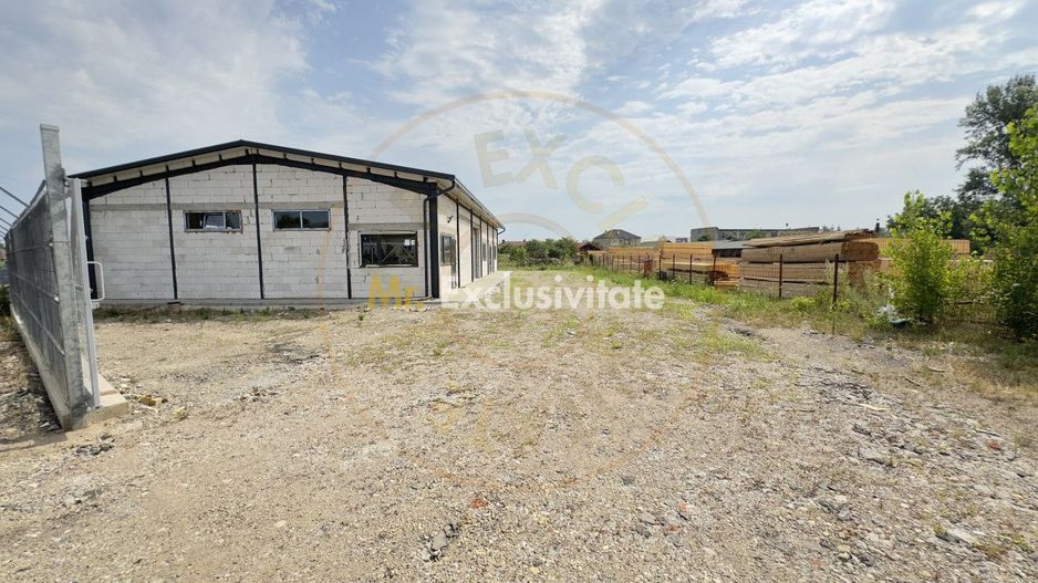 Inchiriere Hală Producție/Depozitare 300 mp, Teren 1791 mp - Carei - Poză 4