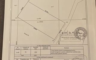 Teren Extravilan, Ciurila, Padurea Faget - Poză 7