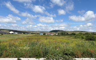 Teren intravilan | Dezvoltare Rezidențială – 6600 mp | Jucu de MIjloc - Poză 4