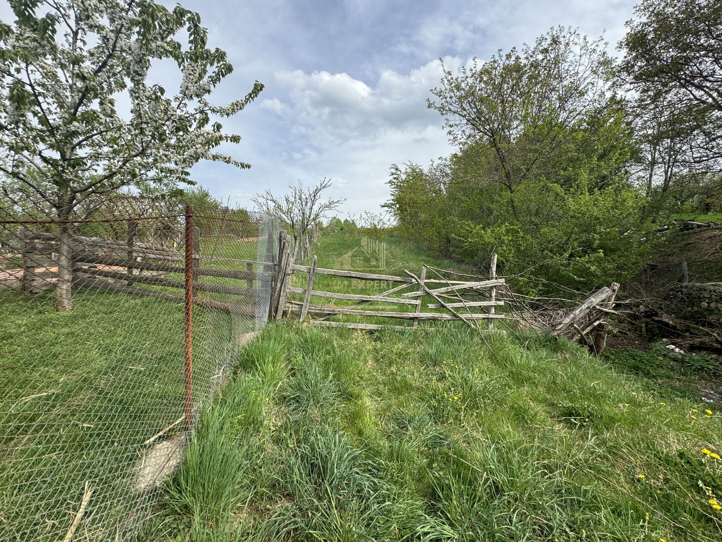 TEREN INTRAVILAN, 7472 MP, VALEA MARE PRAVAT, ARGES - Poză 13