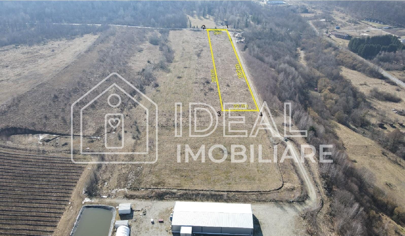 Teren extravilan 6.500 mp – Cârțișoara | Comision 0% - Poză 1