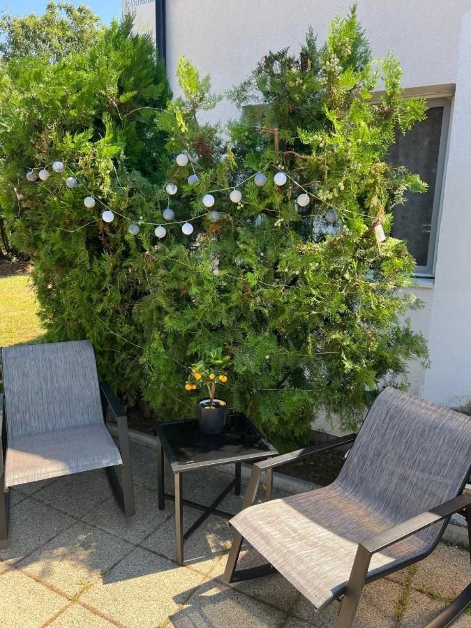 AFACERE PENSIUNE CU 8 CAMERE DE ÎNCHIRIAT - ZONA BĂNEASA - Poză 31