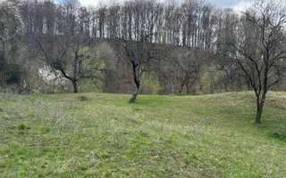 TEREN INTRAVILAN 4365 MP POENARII DE MUȘCEL  JUDEȚUL ARGES - Poză 27