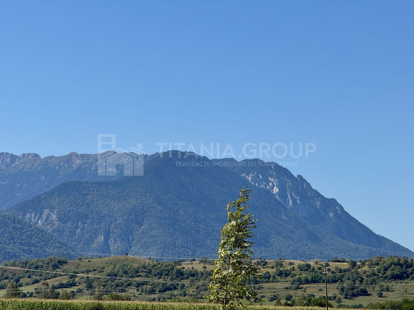 Teren intravilan parcelabil, priveliște spre munți, Sohodol, Bran - Poză 17