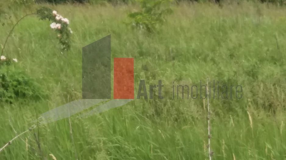 Teren Buftea cu iesire la lac - Poză 29