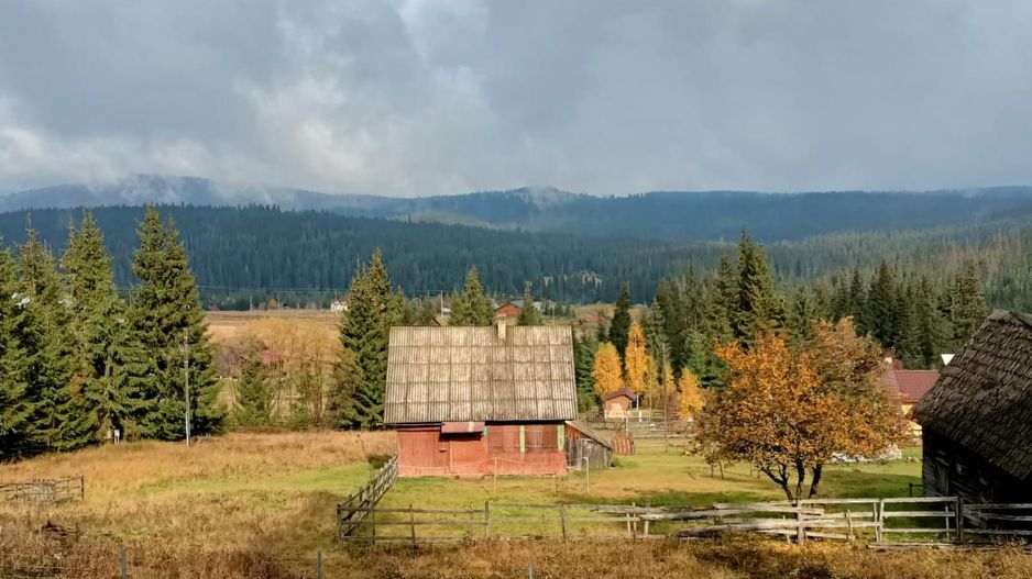 De vanzare teren cu cabana in Smida - Poză 5