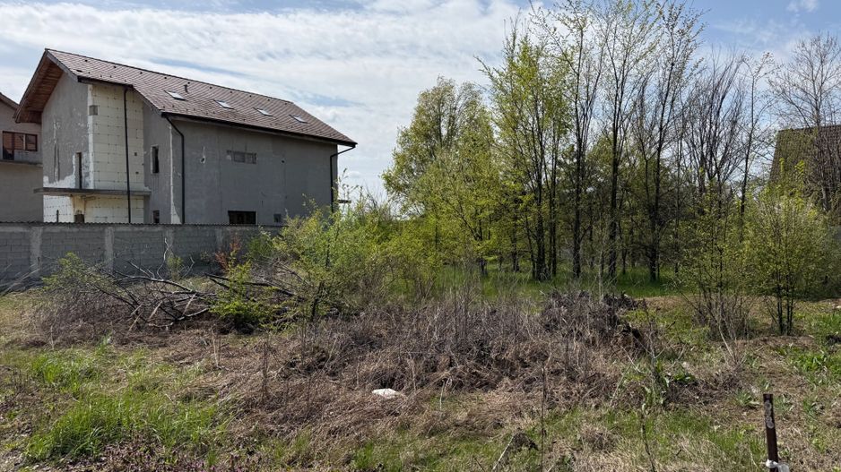 Teren 590 mp | Corbeanca, str Laguna Albastra - Poză 4