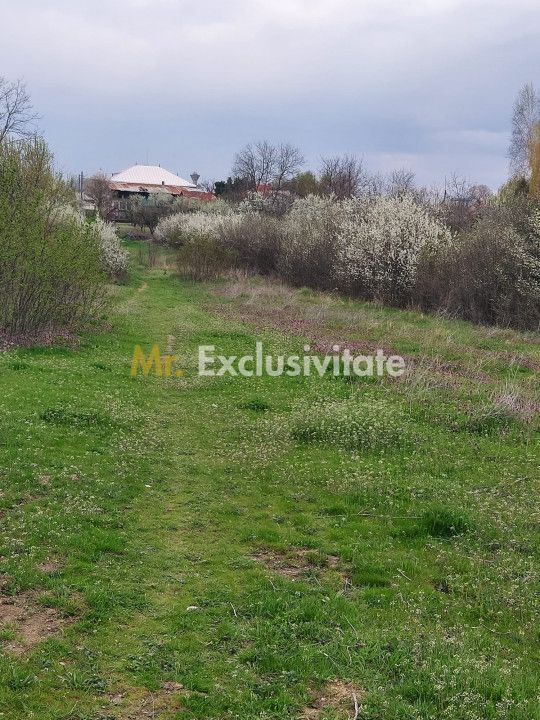 Teren Topoloveni - 3670 mp - langa padure, aproape de Centrul orasului - Poză 3