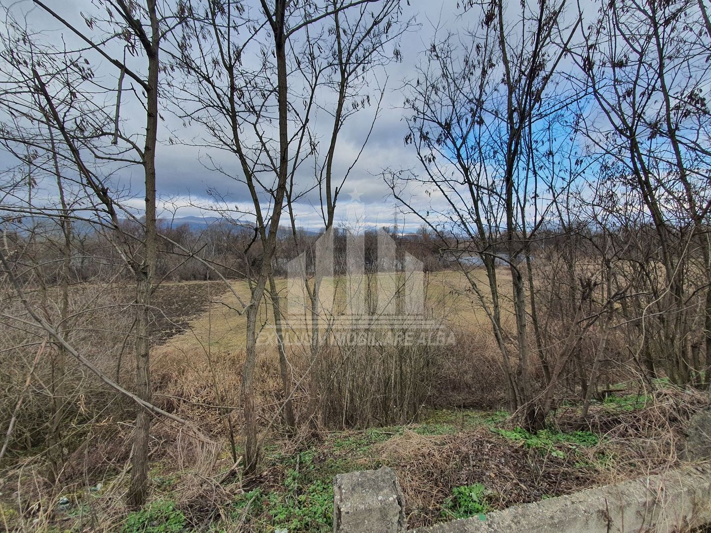 Vand teren extravilan - Poză 7