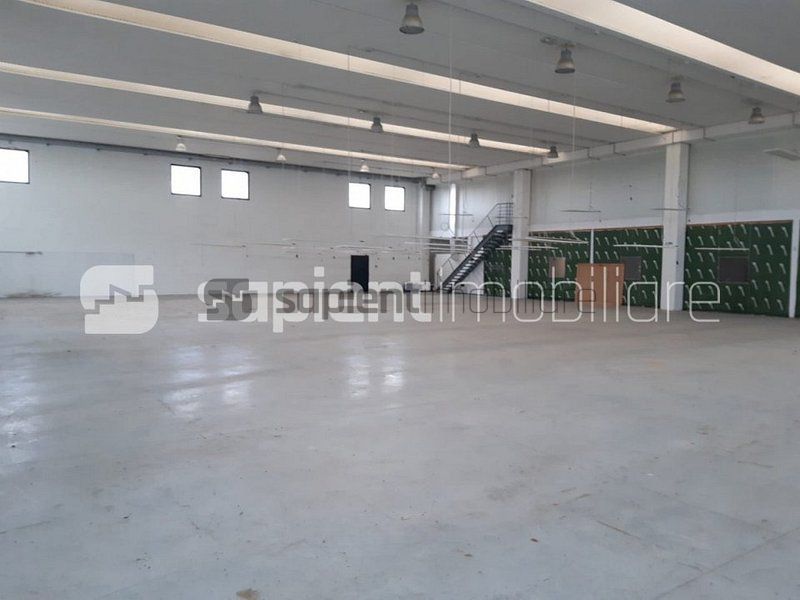 Sapient | Hala situata in com. Borș - Poză 6