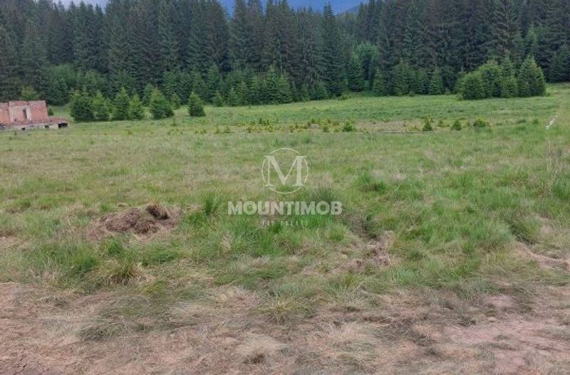 Teren intravilan în Poiana Brașov, 0% COMISION - Poză 6