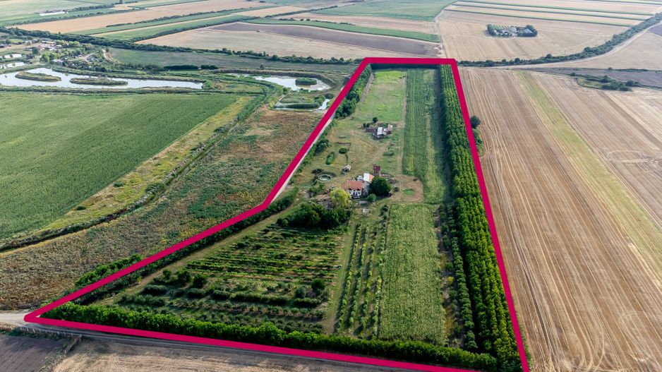 Preț nou! De vânzare teren 7.6 Ha în Pecica - Poză 1