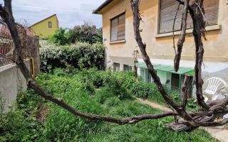 Apartament la casa | 4 camere | Curte separata | Terezian - Poză 3