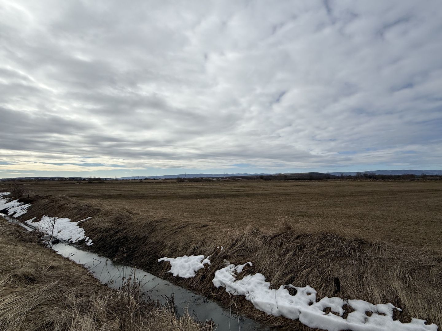 Teren extravilan | Rădăuți – zona Jalcău | 3.900 mp | 41 m front - Poză 4