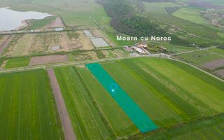 Teren extravilan de 22500mp Zona Ineu - Poză 1