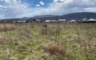 Teren de vanzare Dumbrava Rosie 30Euro/mp 900mp - Poză 13