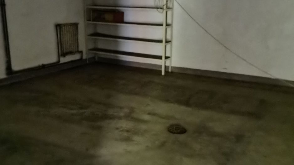 Spatiu industrial zona Sud-Arad - Poză 8