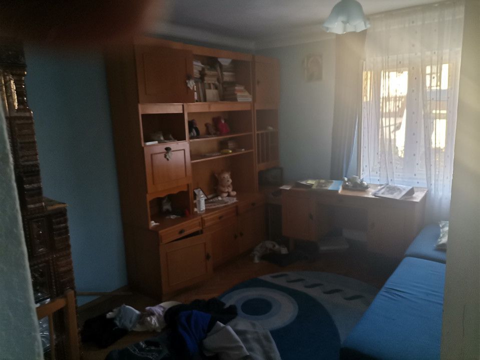 Teren cu casa si anexe in Budeasa Mare - Poză 13