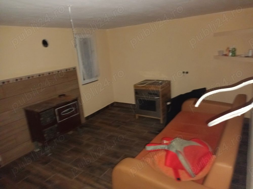 BRASADAS vinde casuta de vacanta in Ardud. - Poză 7