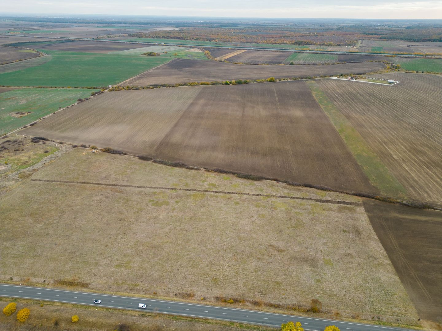 Teren 22.500 mp – Pecica, jud. Arad - Poză 3