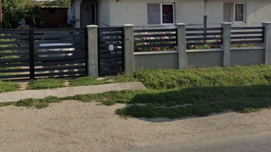 Vand casa la tara - Poză 1