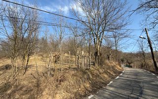 Teren intravilan 2788 mp deschidere 55 ml cu vedere panoramica ! - Poză 13