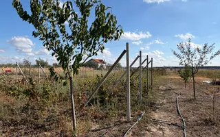 Casă cu livadă, grădină și anexe, | Les | Oradea - Poză 18