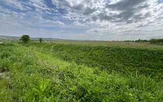Teren de vanzare, 25.561mp in zona Soseaua de Centura, 58ml deschidere - Poză 6