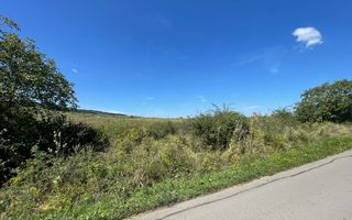 Teren Intravilan | Padureni | Investiție | 27000 mp - Poză 4