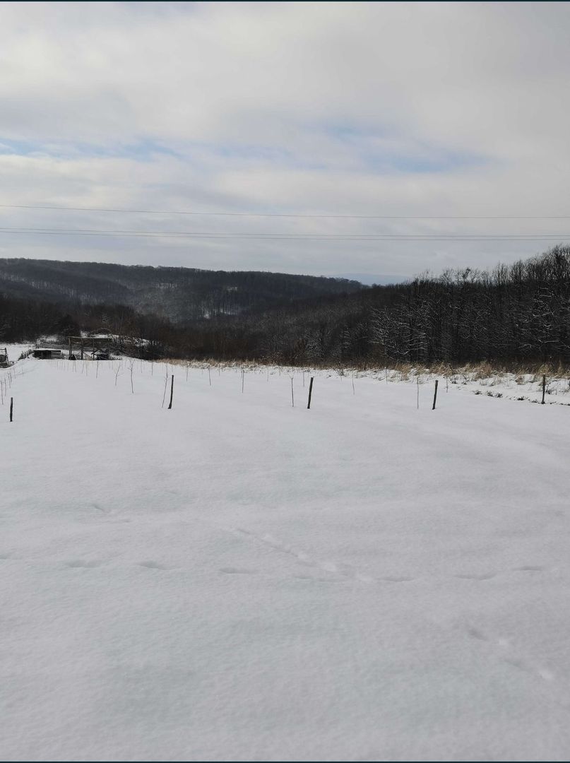 Teren cu o priveliste superba langa padure - Poză 1