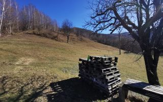 De vânzare teren intravilan 10,100 mp, cu anexă, Munteni - Poză 3