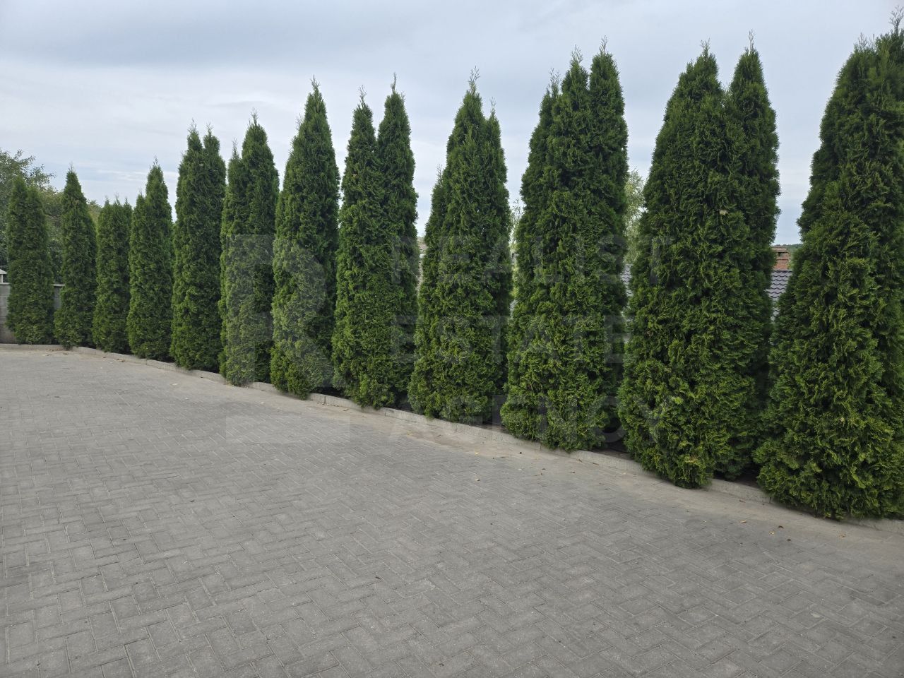 Vânzare, spațiu comercial, 237,9 mp, satului Siret. - Poză 8