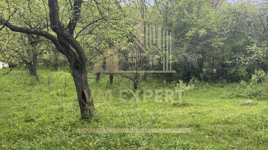 TEREN INTRAVILAN 7018 MP CAMPULUNG - Poză 28