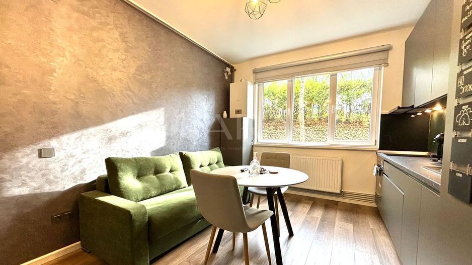 Apartament cu 1 cameră, ideal pentru investiție, Gruia. AirBnb. - Poză 3