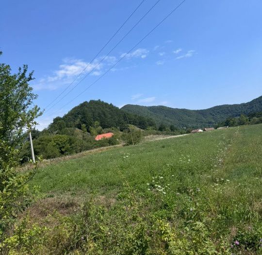 Teren 3600 mp Cheile Nerei - Optiune plata in transe! - Poză 3