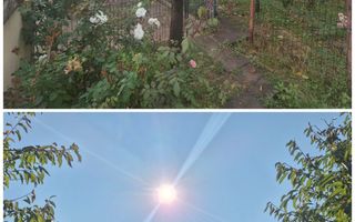Casă la parter în Horpaz – 65 mp utili, terasă suspendată 27 mp și teren 500 mp - Poză 4