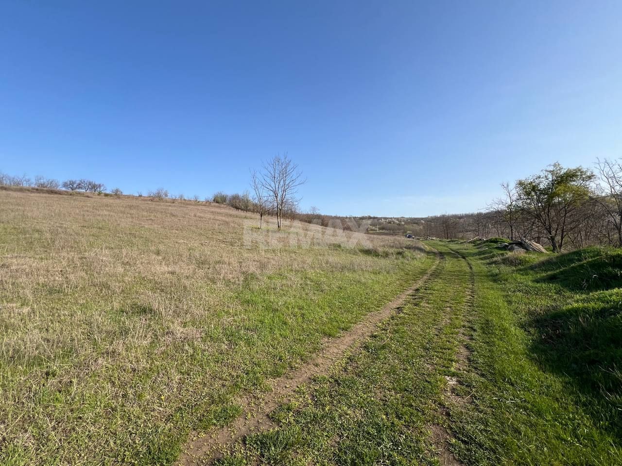 Teren pentru grădină / investiție – 14,86 ari în Ghidighici, zonă liniștită și ecologică - Poză 5