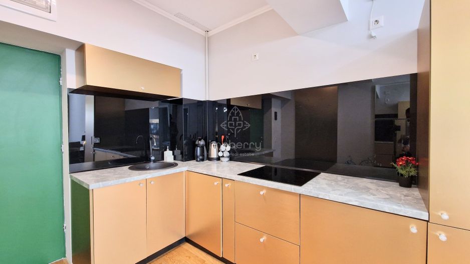 Studio Aviatiei Park | Mobilat & Utilat | Vedere curte interioara | - Poză 5