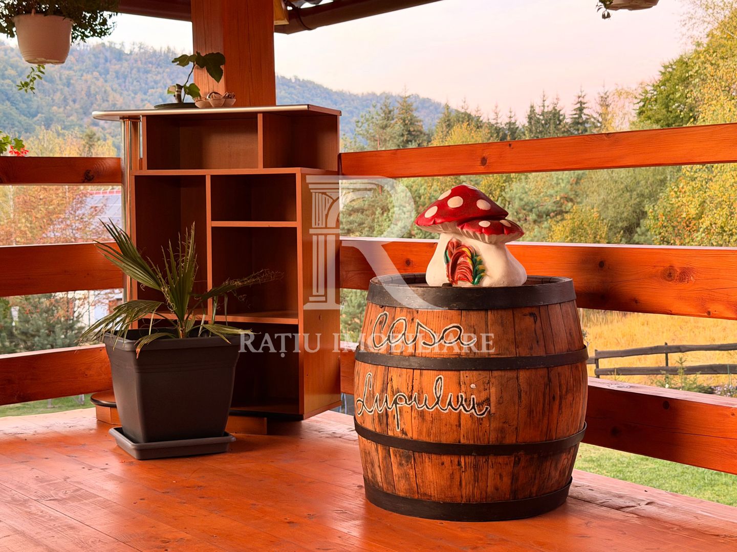 Cabană de lemn | 6 camere | Foișor | Ciubăr | Remeți | Bihor - Poză 29