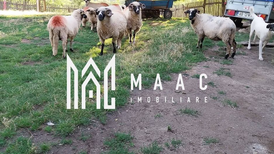 Proprietate cu 60000 mp pamant la pret de apartament - Poză 25