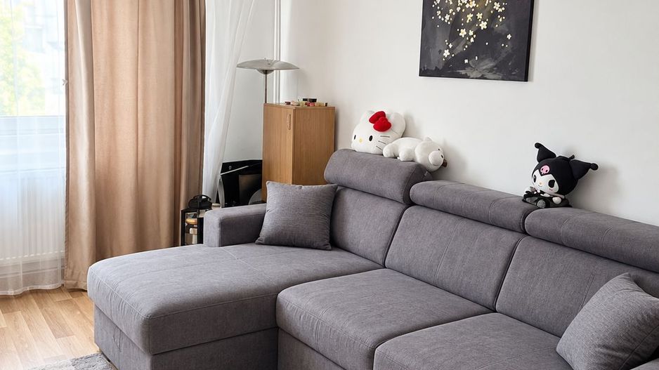 Apartament 1 camera Dec, 30 mp, Grădinari, Iulius Mall 350 euro - Poză 1
