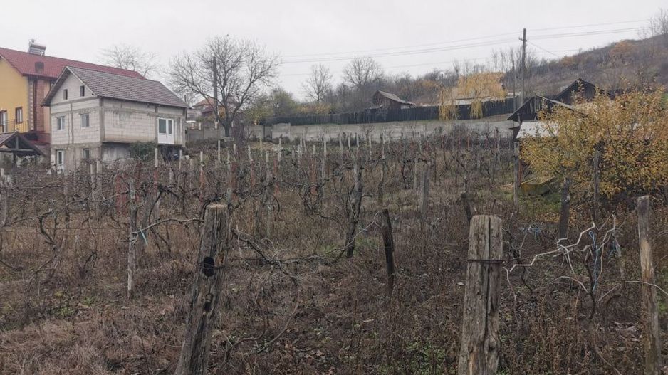 De vanzare casa in Argetoaia cu teren 7.000 mp - Poză 6