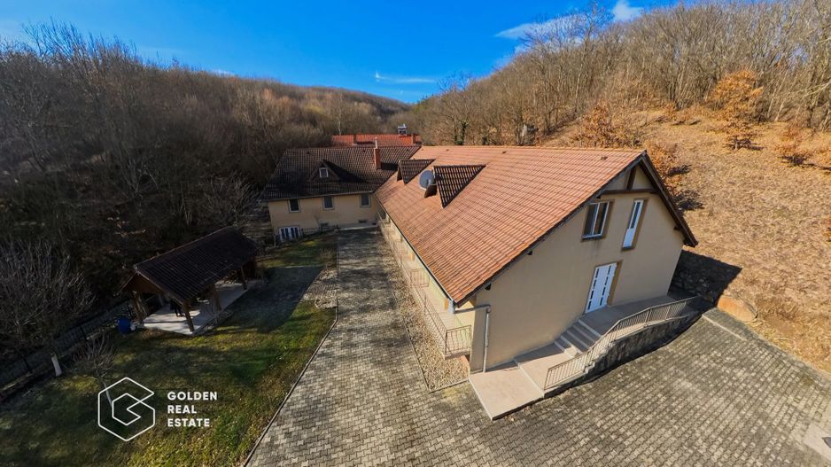 Proprietate pretabila pentru afacere, Cladova - Poză 20