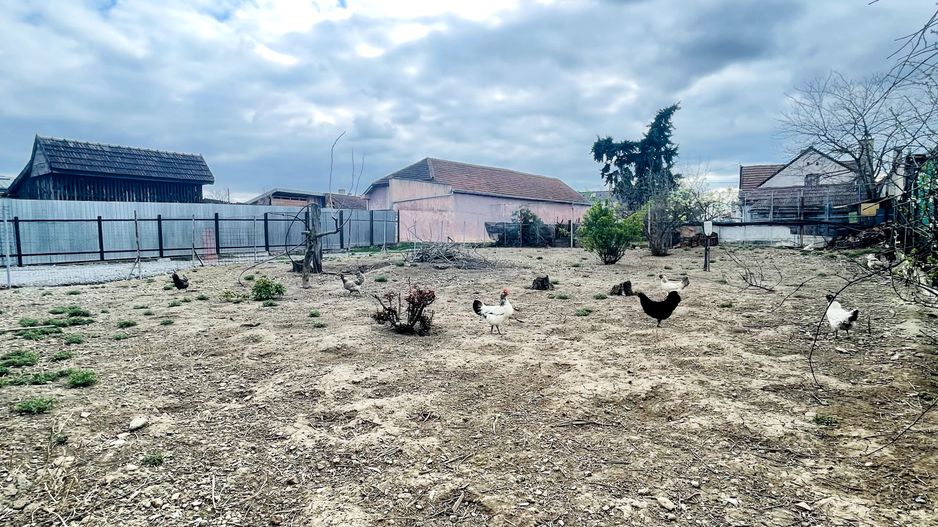 Teren cu Utilități pe Parcelă – Episcopia, 550 mp - Poză 5