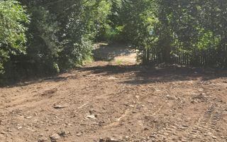 Teren Valea Doftanei,  zona Pe Vale - Baraj Paltinu - Poză 7