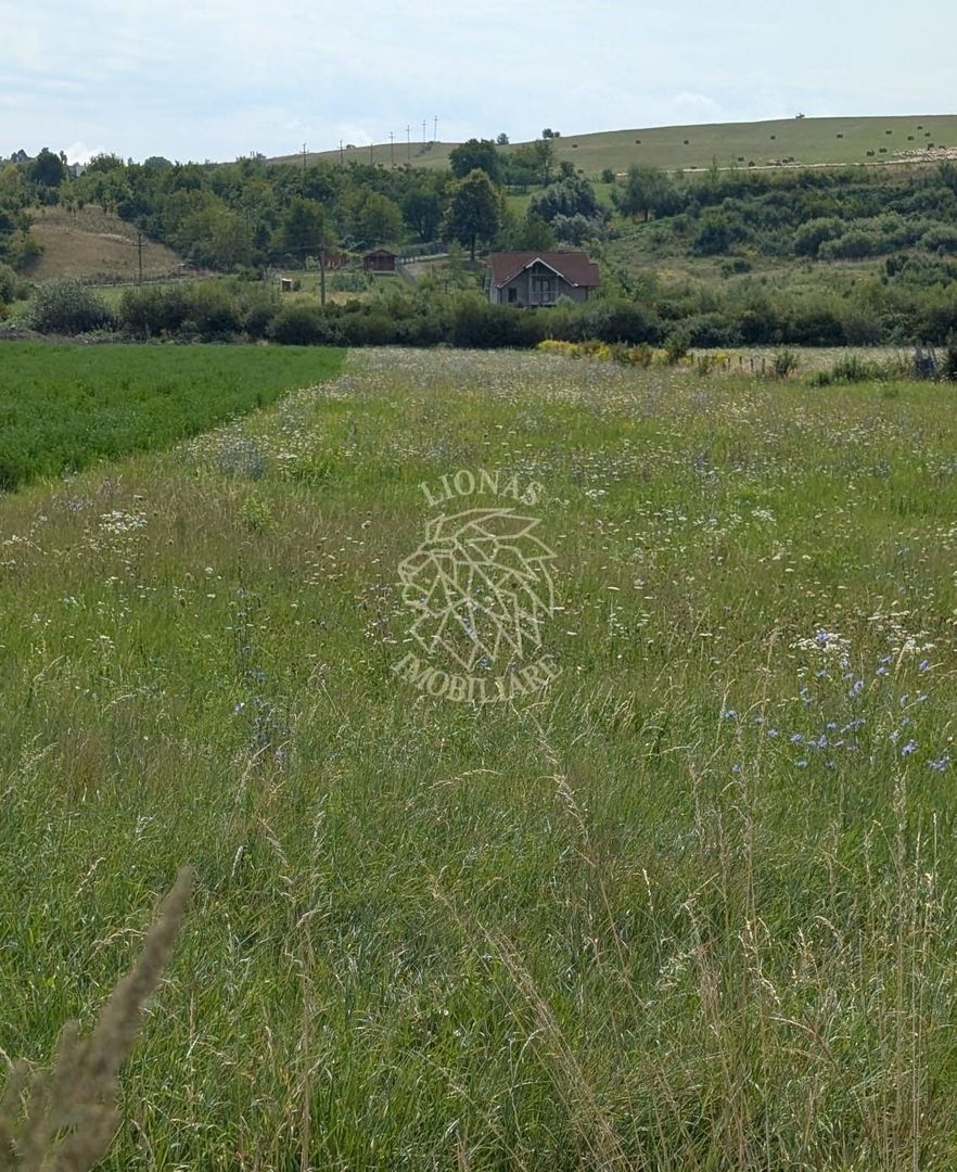 Teren intravilan 5200 mp cu utilitati-ideal constructie case-Zavoaie - Poză 1