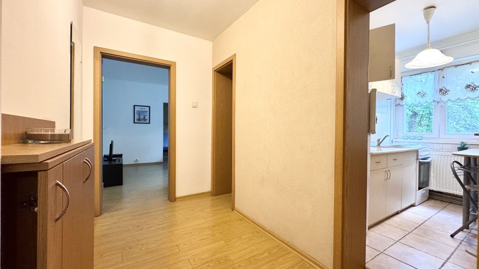 Apartament cu 3 camere în zona Gheorghe Lazăr - Dacia, pet friendly - Poză 14