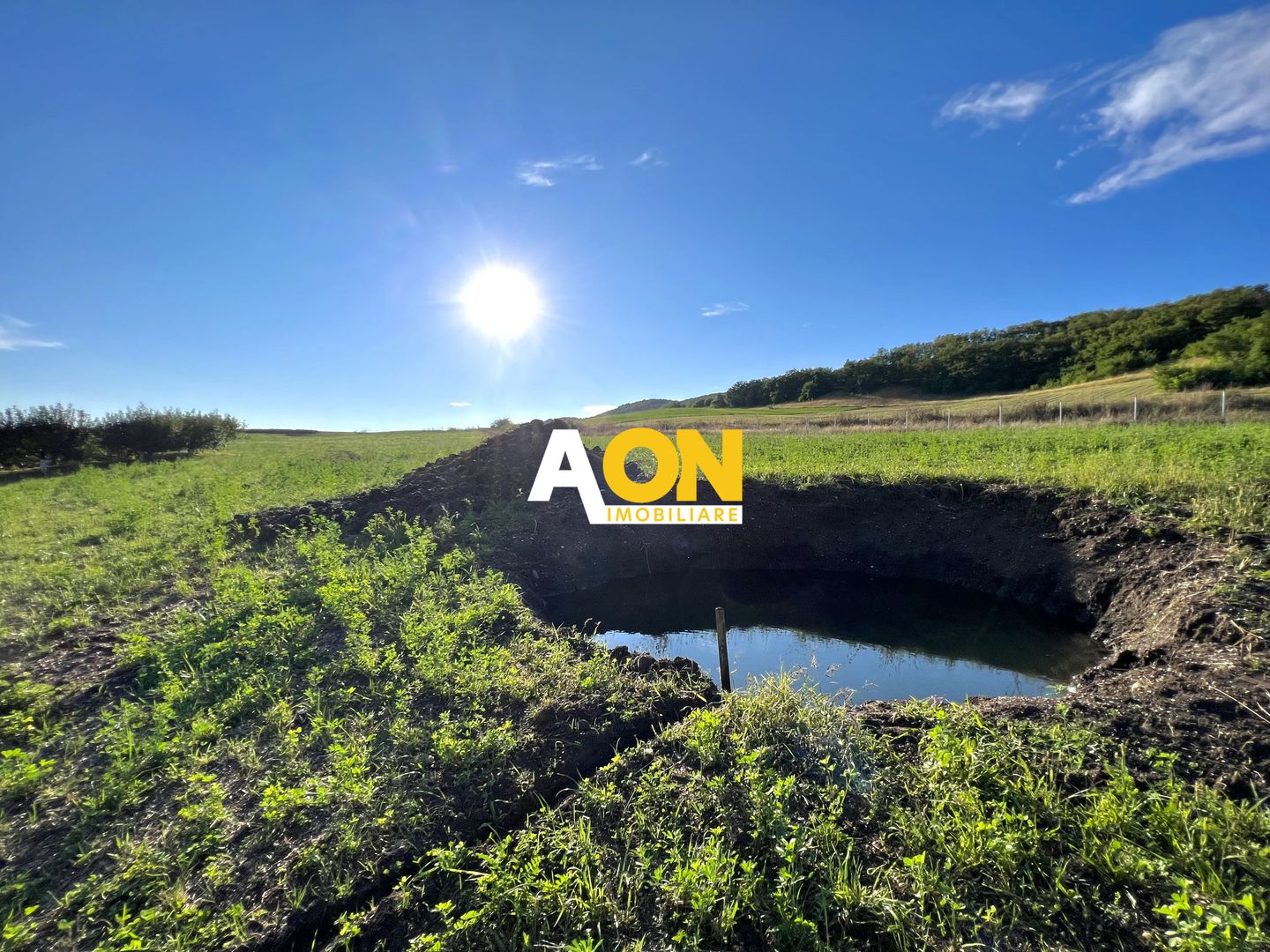 Ferma de vanzare cu 550MP utili si 27.500MP teren la asfalt - Poză 18